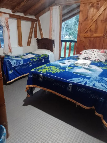 Hostal El Bambú
