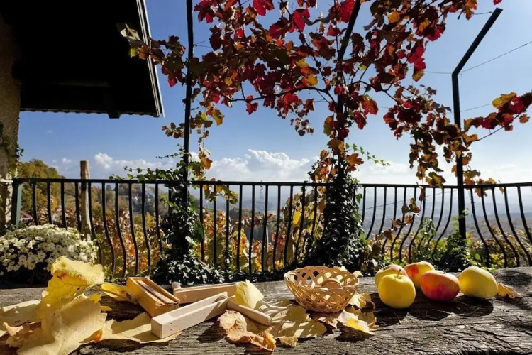 Vineyard cottage Verček