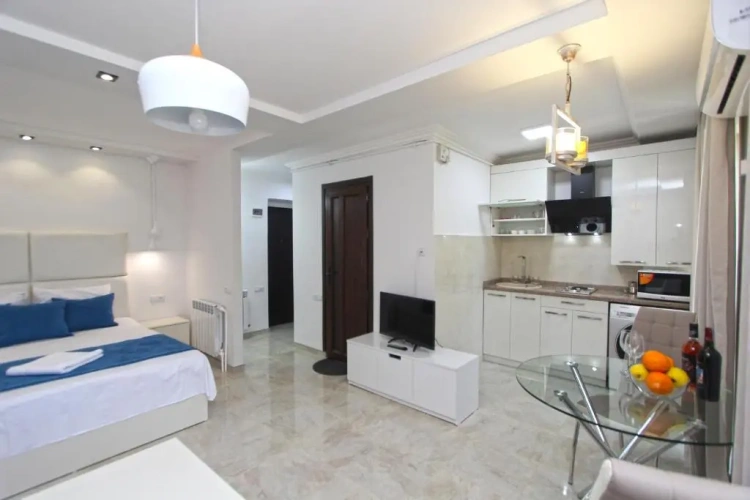 1 Bedroom Apartment