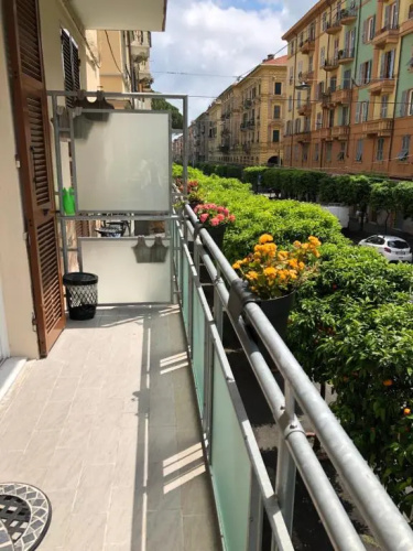 Ari Guest House