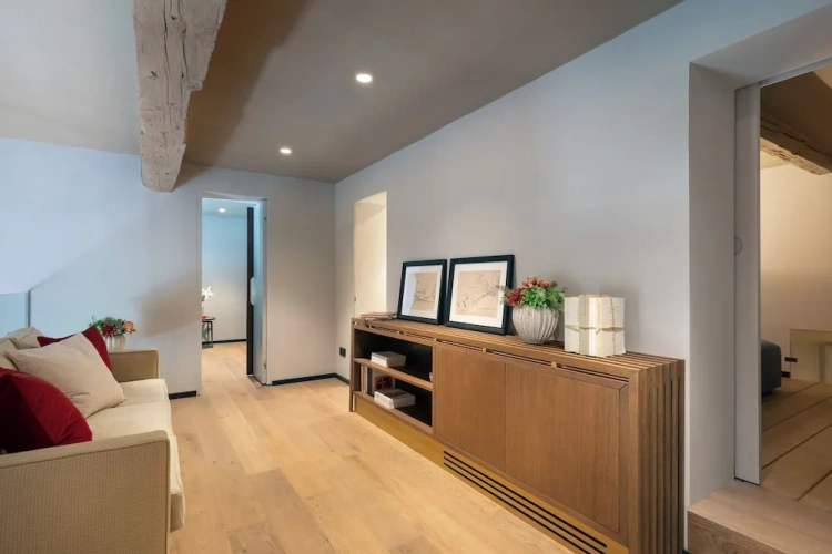 Luxury Apartment