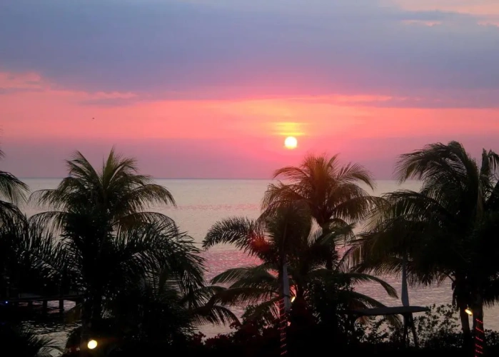1 Bedroom Superior Apartment with ocean view