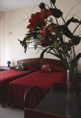 Standard Double room with balcony and with view