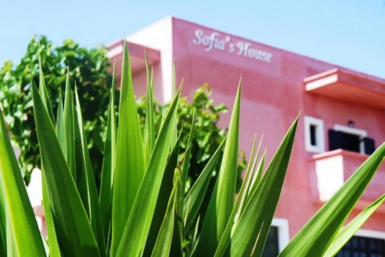 Anemos Inn