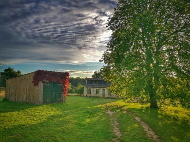 Cottage