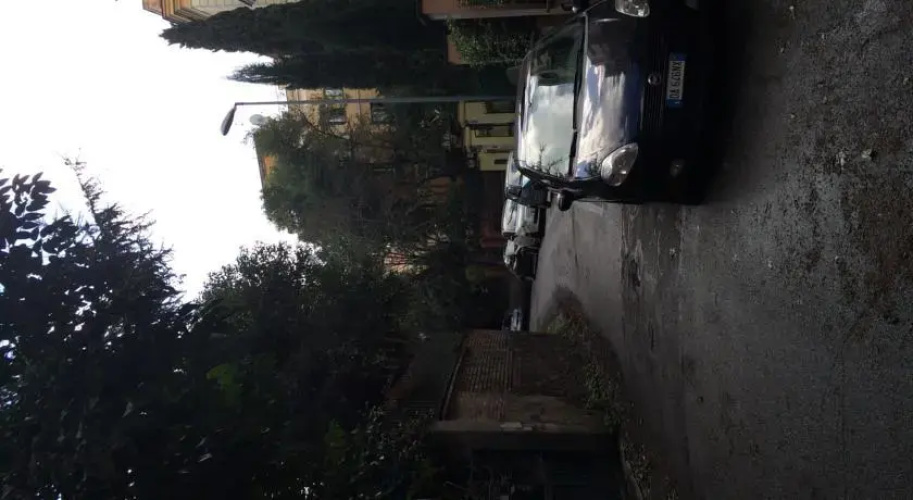 La Casa Gatto