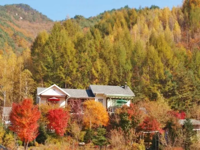 Geumdang Rotji