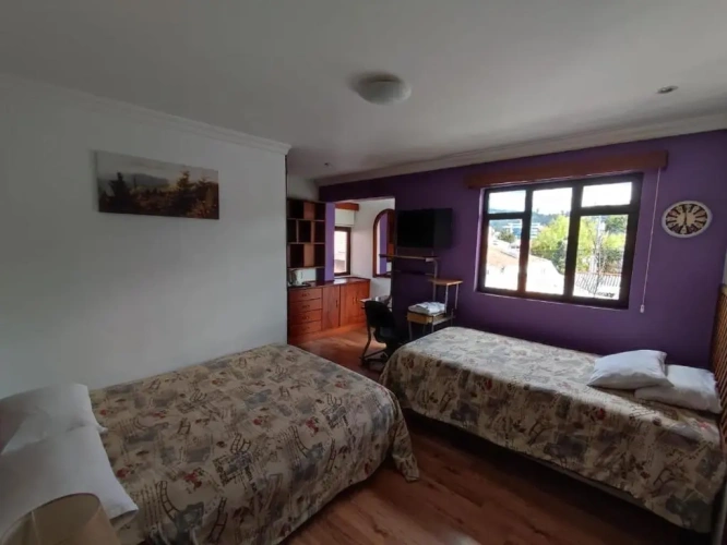 Standard Double room with garden view