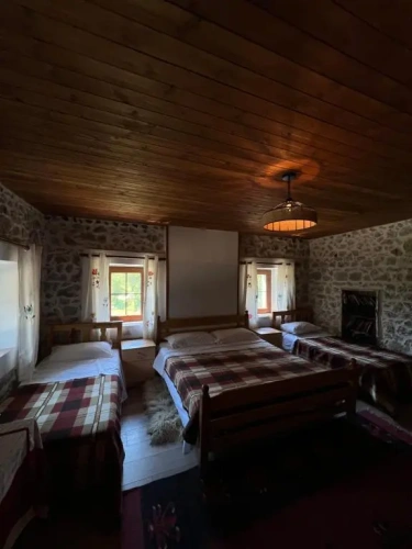 Standard Family room with mountain view