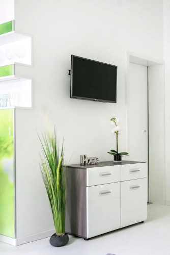 Zirnyi 9 Apartment