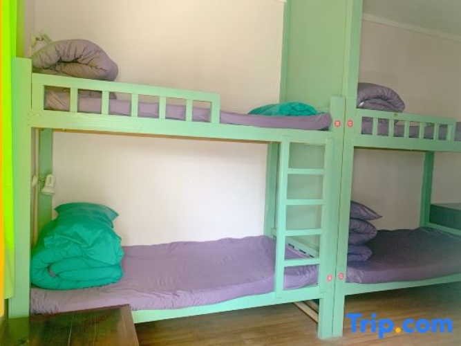 Bed in Dorm (male dorm)