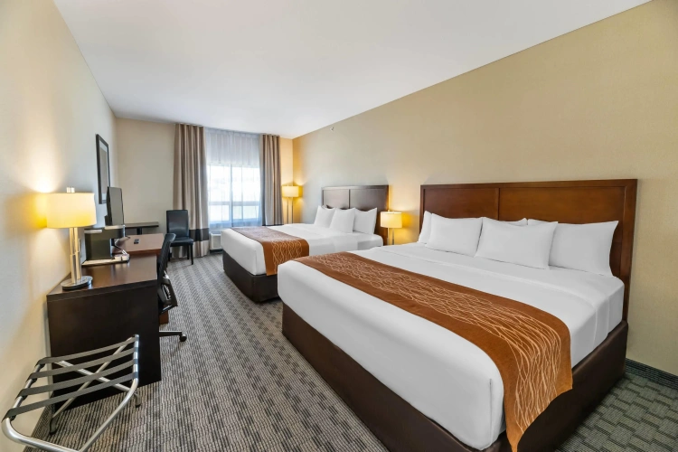 Standard Quadruple room