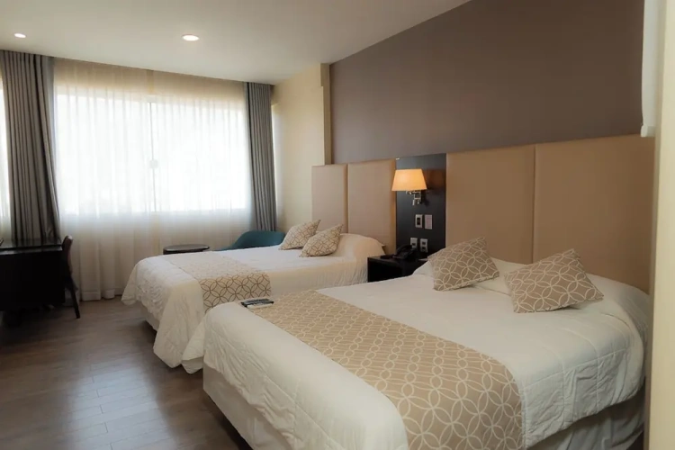 Twin Suite