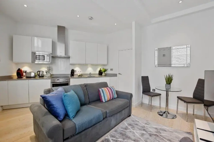 1 Bedroom Apartment
