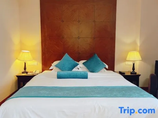 Deluxe Single Suite