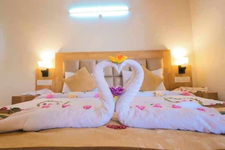 Deluxe Double room with garden view