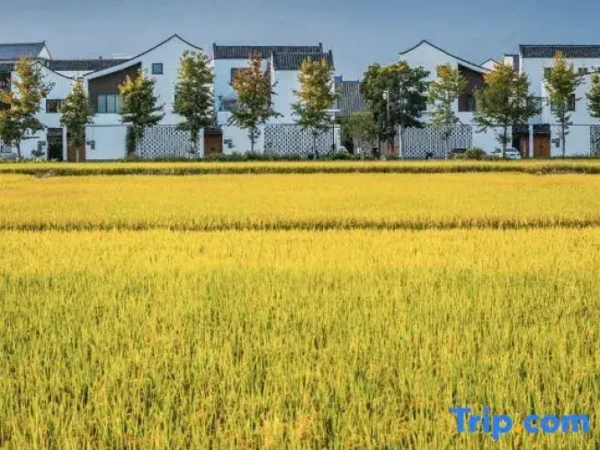 Yuziwu House