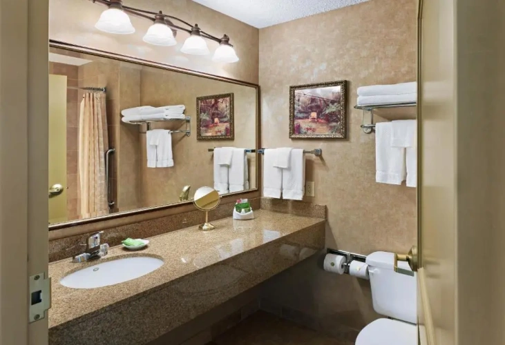 1 Bedroom Deluxe Double Suite
