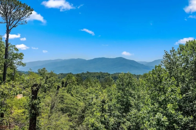 Standard room with mountain view