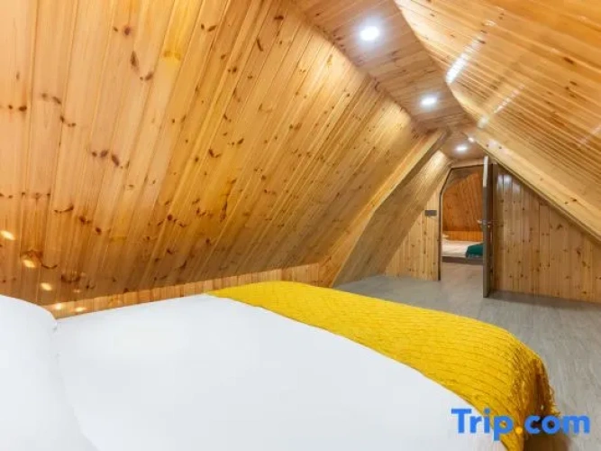 Attic Suite