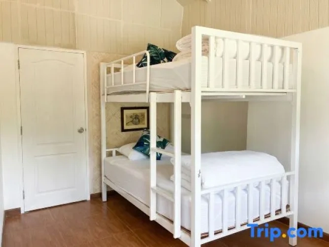 Standard Double Family room