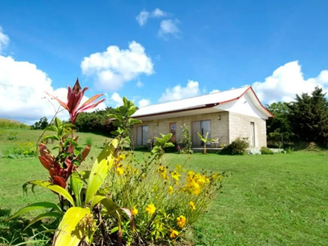 Bungalow