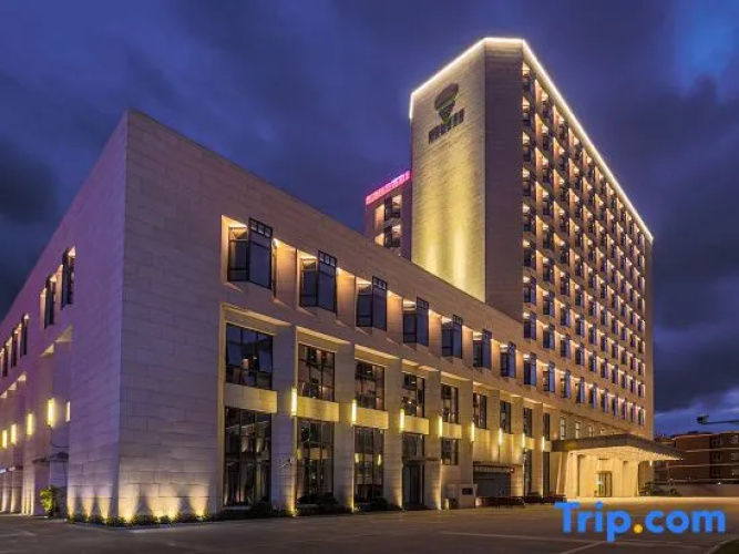 David Diamond Hotel