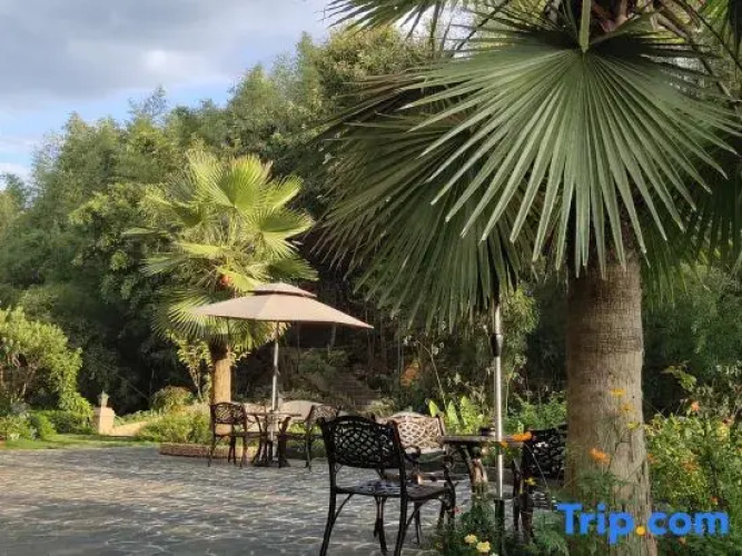 Yangxinggu Guesthouse