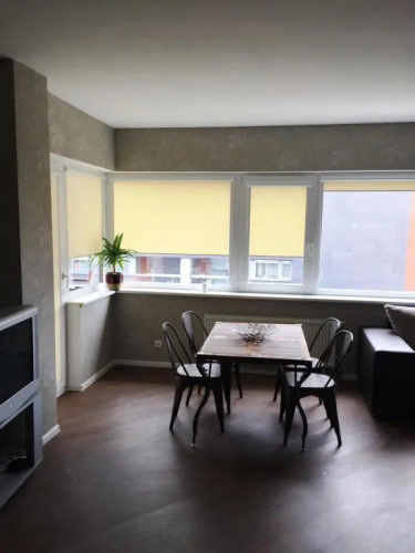 Apartament Birutes 22