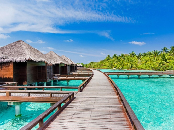 Sheraton Maldives Full Moon Resort & Spa photo 16