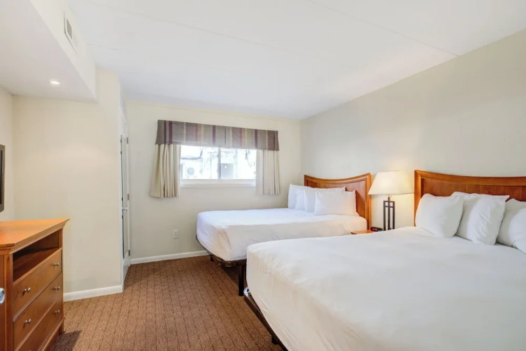 Classic Suite
