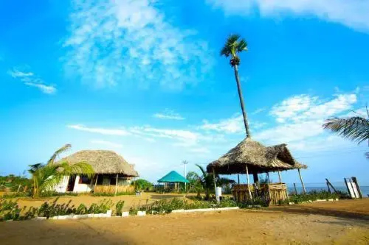 Cabana Coral Reef