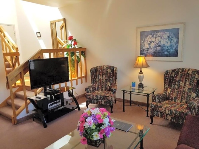 1 Bedroom Suite