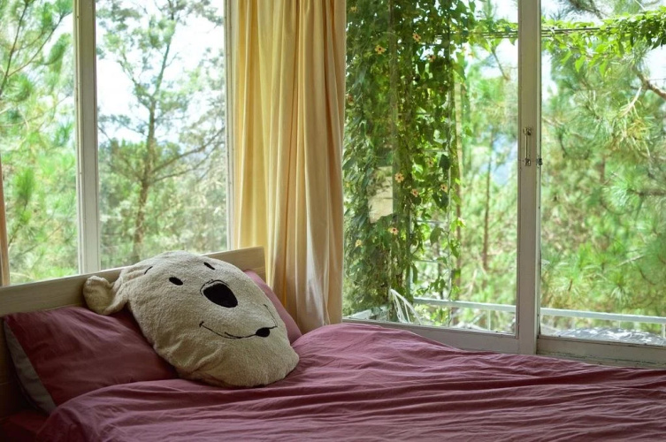 Pine Hill Homestay Dalat