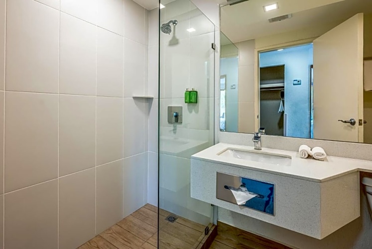 Standard Double room with balcony and with pool view