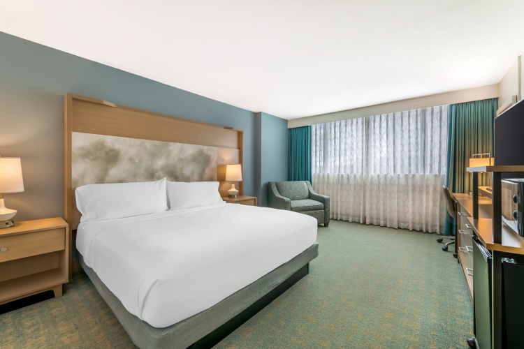 Holiday Inn Orlando - Disney Springs Area photo 8