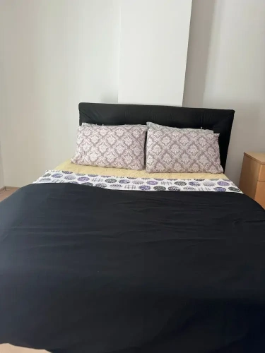 Classic Apartment