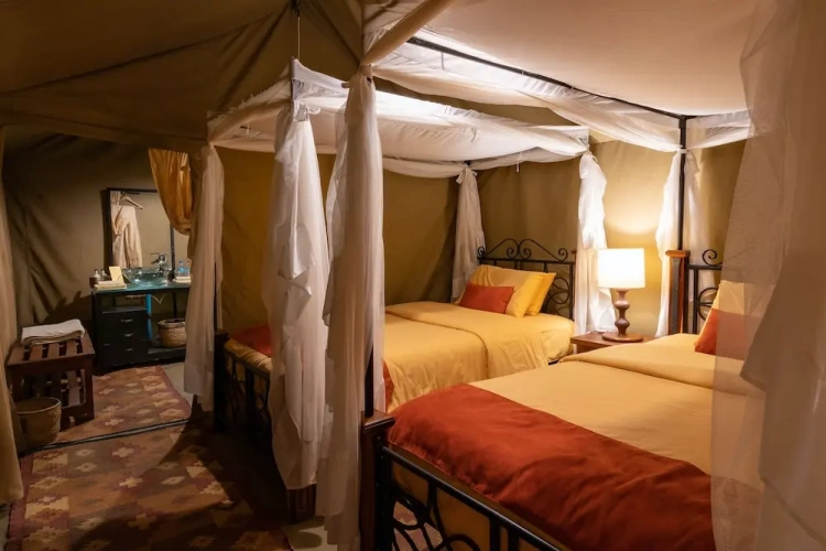 Tent