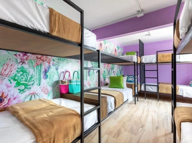 Bed in Dorm
