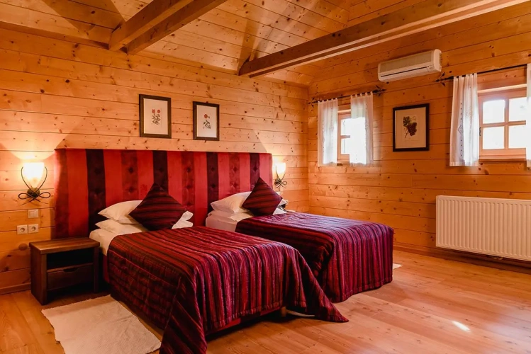 Double Family Suite