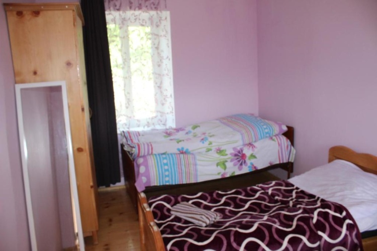 Standard Double room with balcony and with view