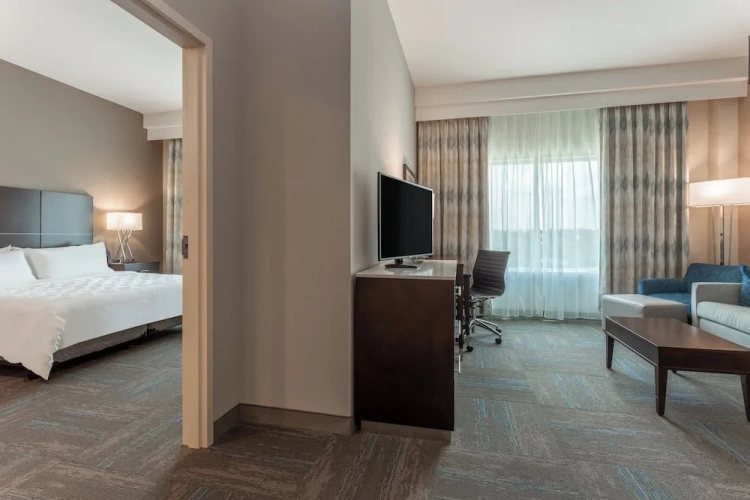 1 Bedroom Suite