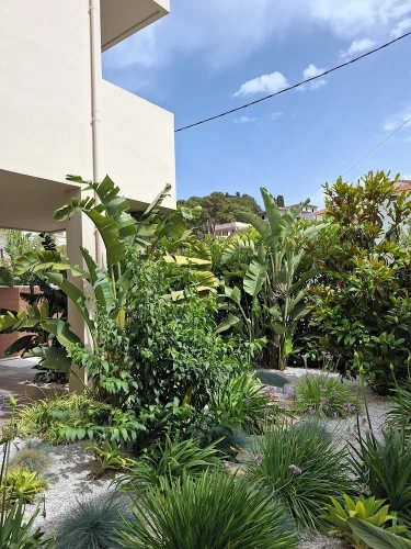 1 Bedroom Comfort Apartment with garden view