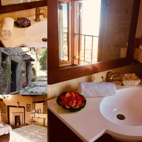 Standard Double room with balcony and with view