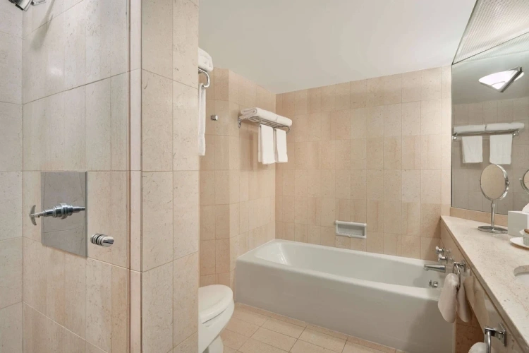 1 Bedroom Suite with balcony and with city view