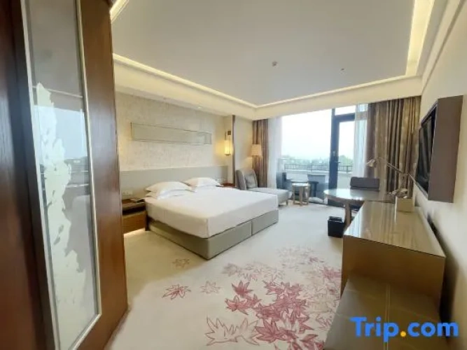 Standard Double room with lake view