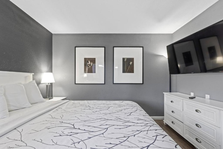 1 Bedroom Suite
