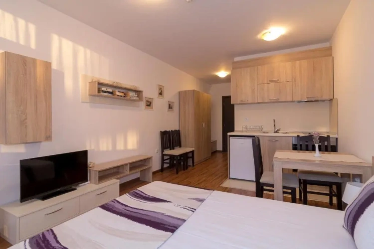 Studio with balcony and with view