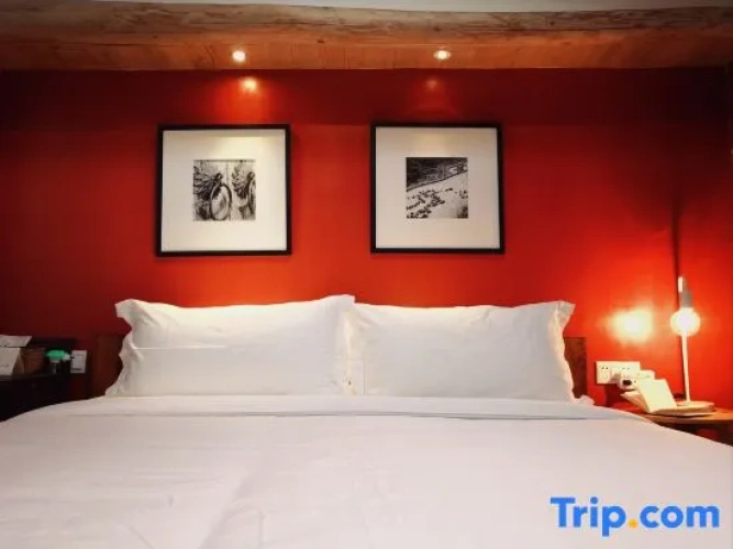 Standard Double room with mountain view