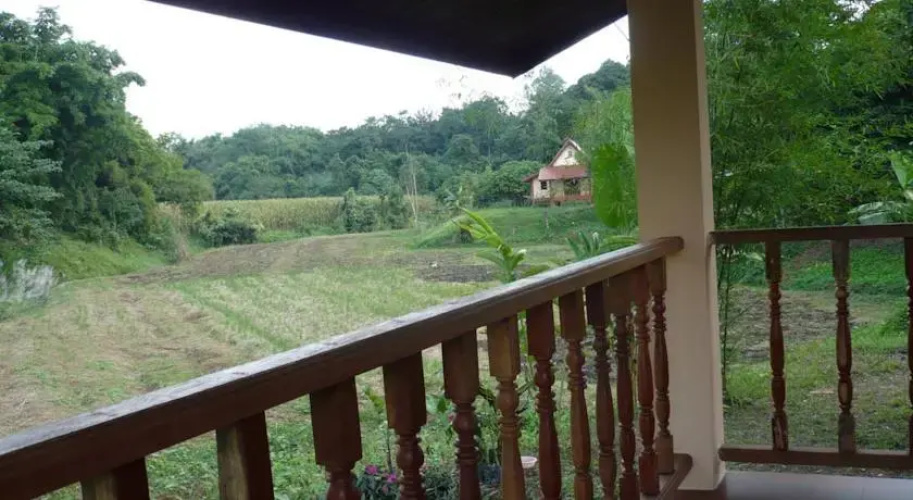 Suancha Tea Garden